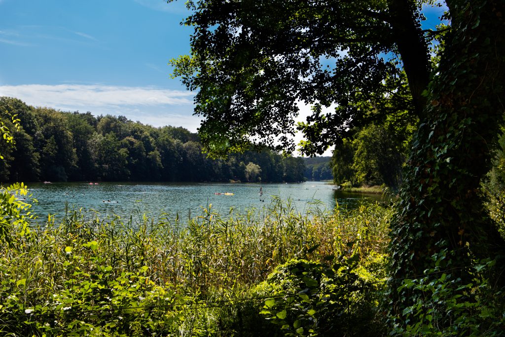 Krumme Lanke 3 sheloveseating